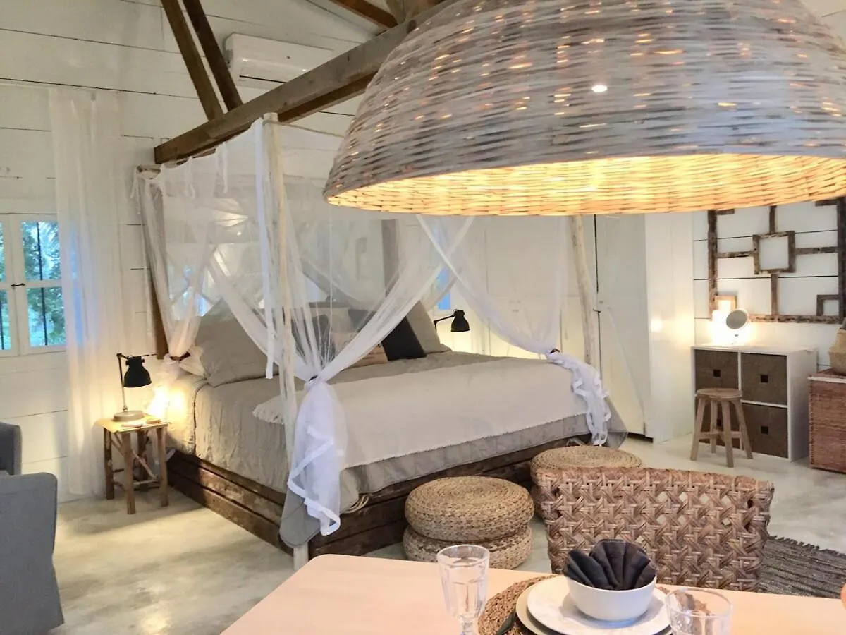 Javo Beach The Nest Las Galeras Holiday home
