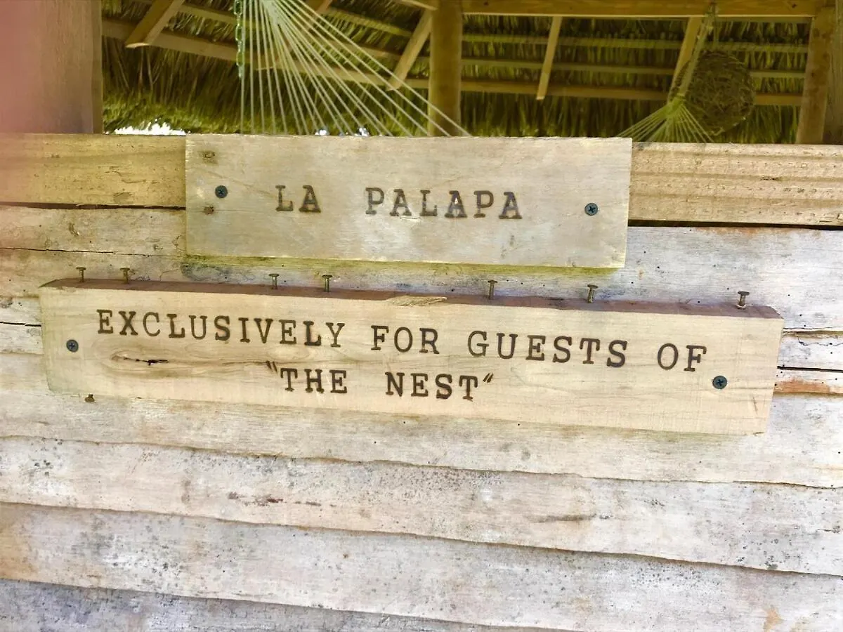 Javo Beach The Nest Las Galeras